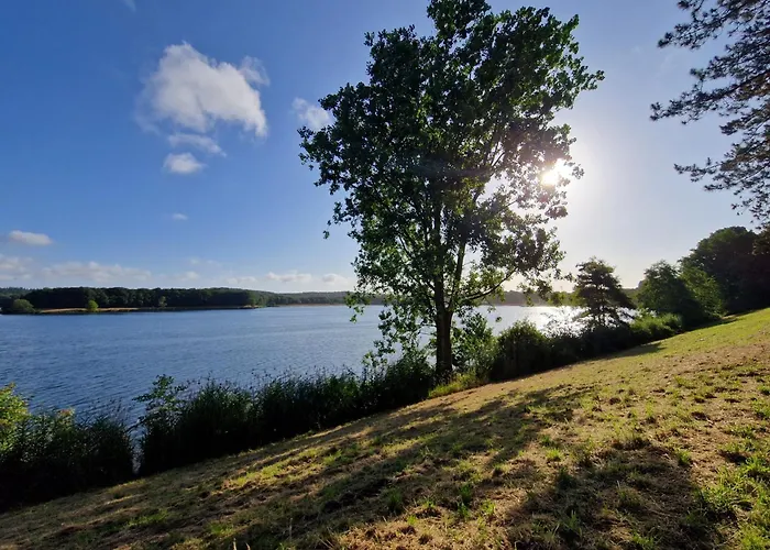 'tnest Apartamento *